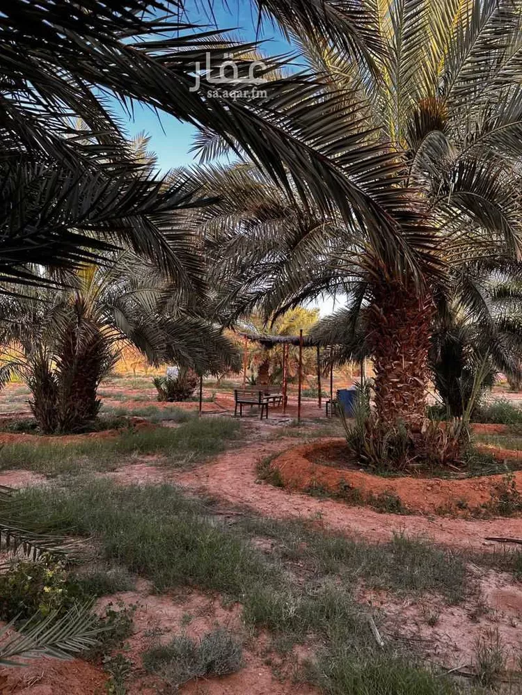 مزرعة للبيع في شارع عبدالله بن عبدالعزيز , مدينة حوطه سدير, منطقة الرياض