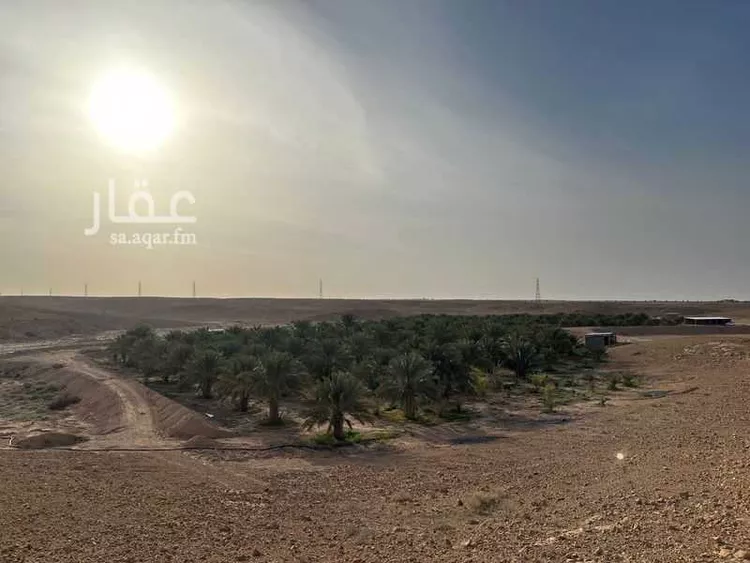 مزرعة للبيع في شارع عبدالله بن عبدالعزيز , مدينة حوطه سدير, منطقة الرياض صورة 2