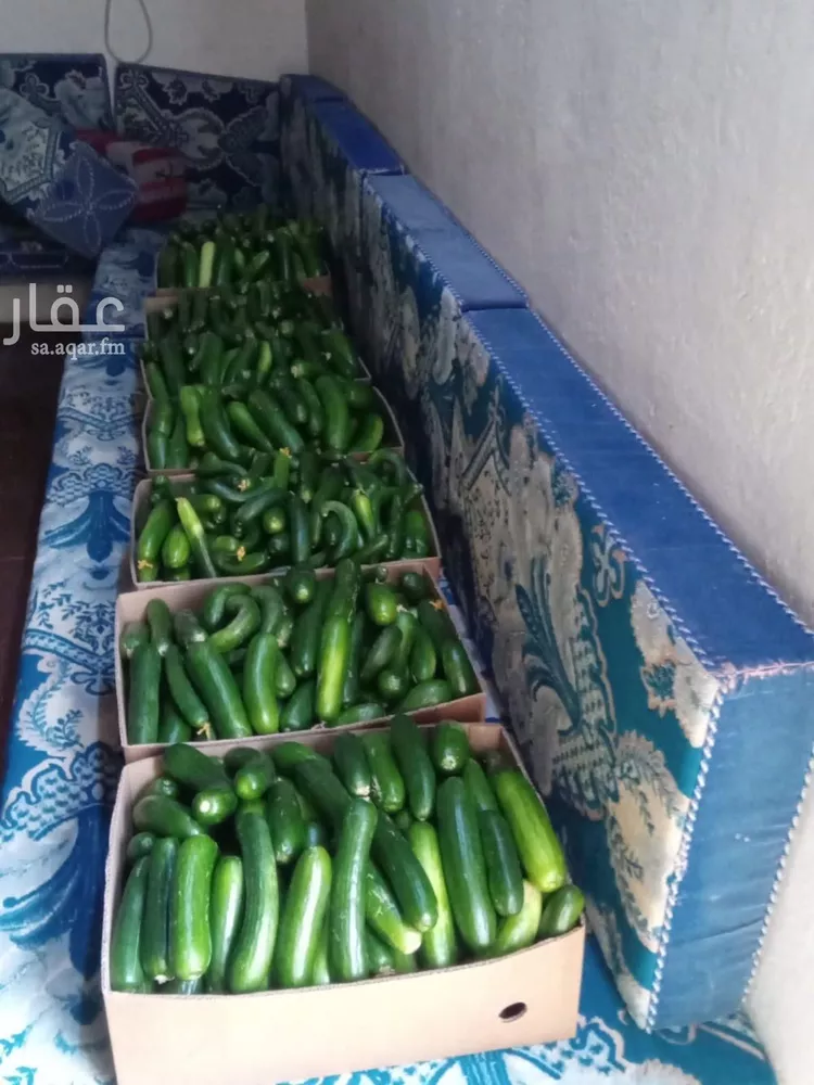 مزرعة للبيع في شارع ام السلم بيضان , حي الحفيره, مدينة المهد - الحفيره, منطقة المدينة المنورة صورة 2
