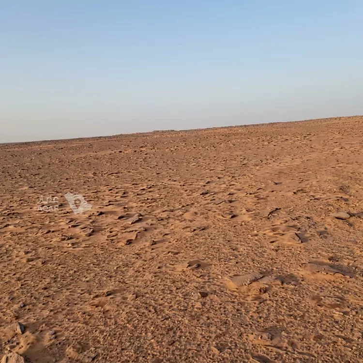 أرض للبيع في حي الكلاء ومزارعها, مدينة الكلاء ومزارعها, منطقة الرياض
