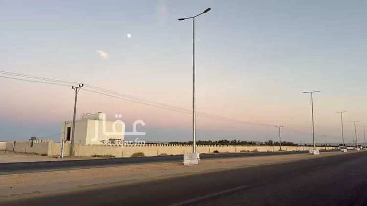 مزرعة للبيع في شارع 0000, حي مزارع المغيدير, مدينة مزارع المغيدير, منطقة الرياض صورة 3