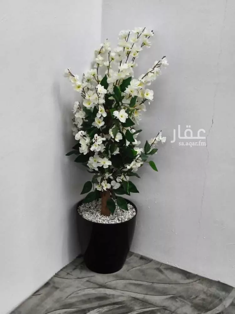 عمارة للبيع في شارع الحناكيه 175, حي مخطط الحناكية العام, مدينة الحناكية, منطقة المدينة المنورة صورة 5