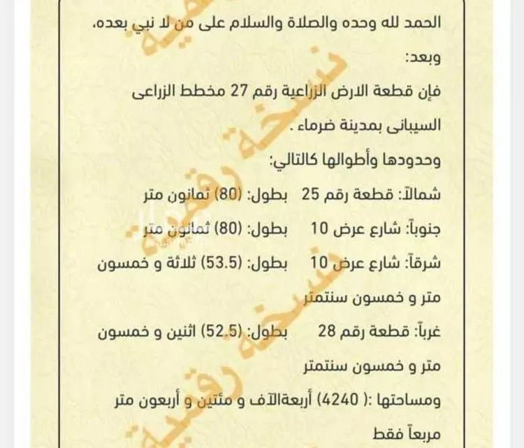 أرض للبيع في شارع 0000, حي مركز السيباني (أ), مدينة السيباني, منطقة الرياض صورة 2