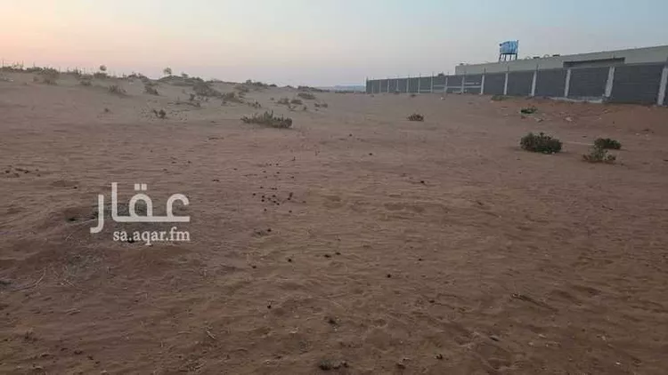 أرض للبيع في شارع 0000, حي مركز السيباني (أ), مدينة السيباني, منطقة الرياض صورة 5