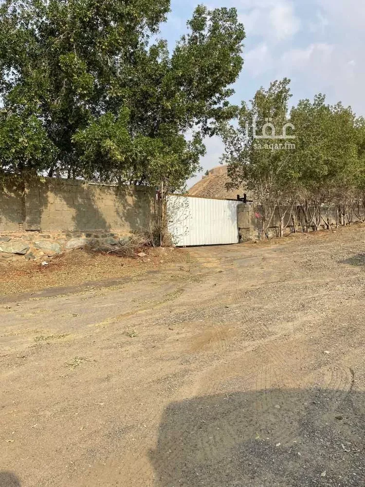 أرض للإيجار في شارع عبد الله بن جابر العبدي(رضي الله عنه) ، حي العسلاء ، جدة ، جدة صورة 4