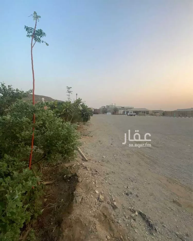 استراحة للبيع في شارع عبد الله بن جابر العبدي(رضي الله عنه) ، حي المنتزه ، جدة ، جدة صورة 3