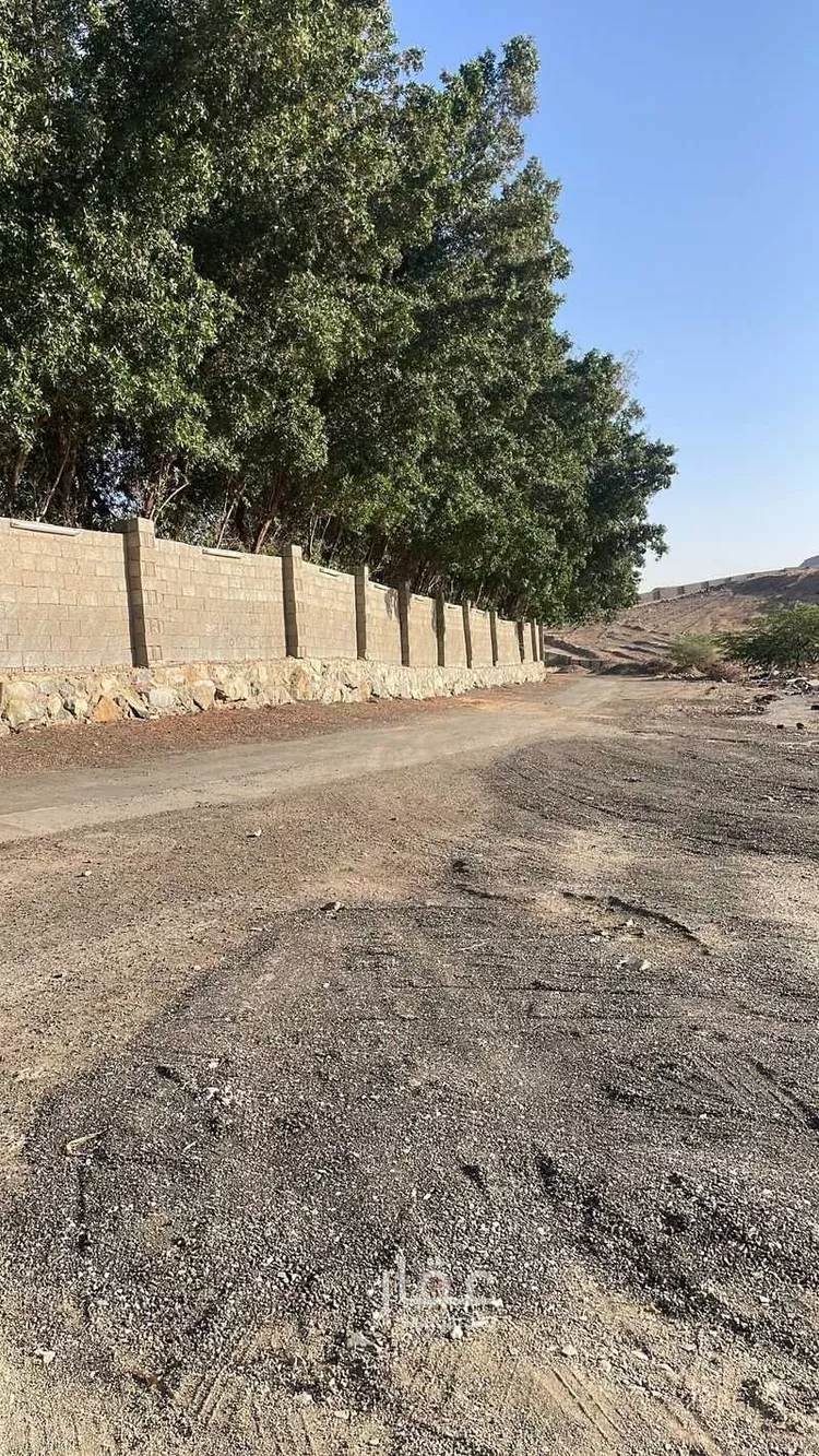 أرض للإيجار في شارع عبد الله بن جابر العبدي(رضي الله عنه) ، حي العسلاء ، جدة ، جدة صورة 3