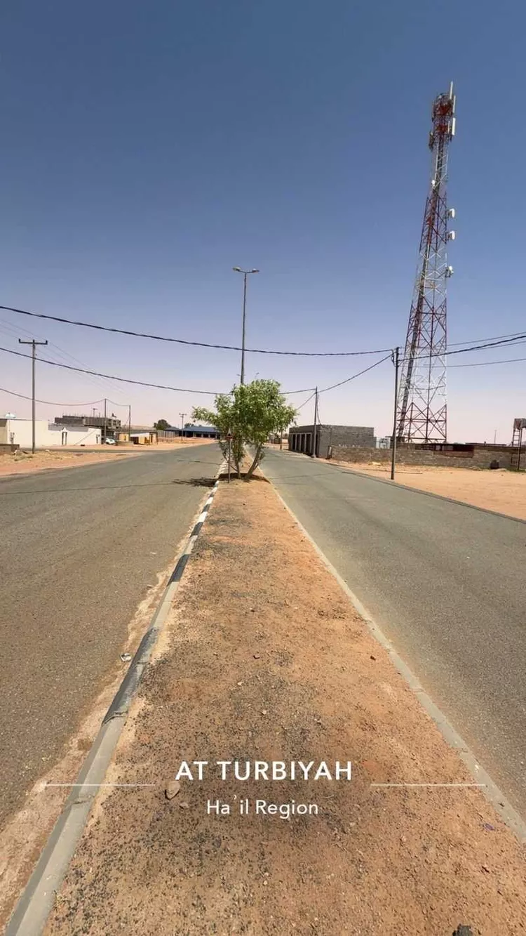 Land for Sale in Hail An Nasim صورة 3