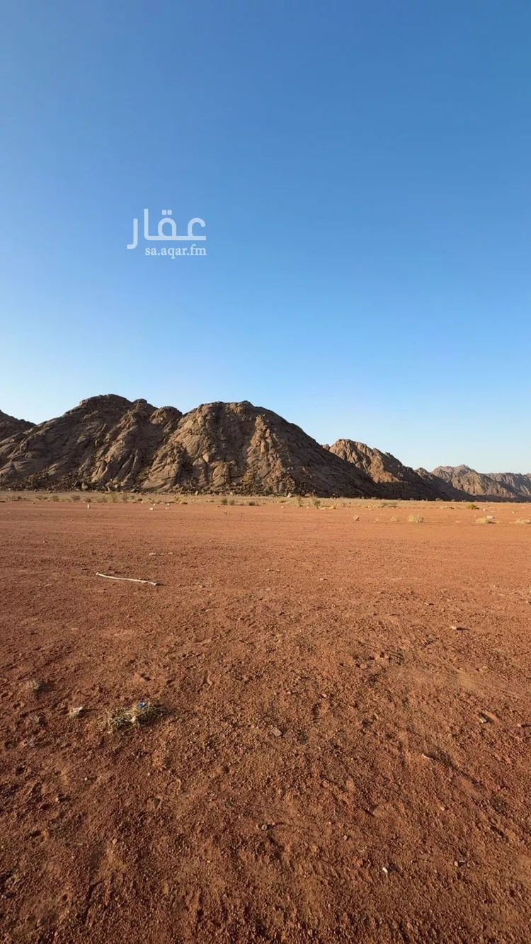 أرض للبيع في شارع العام , حي الودي, مدينة حائل, منطقة حائل صورة 3