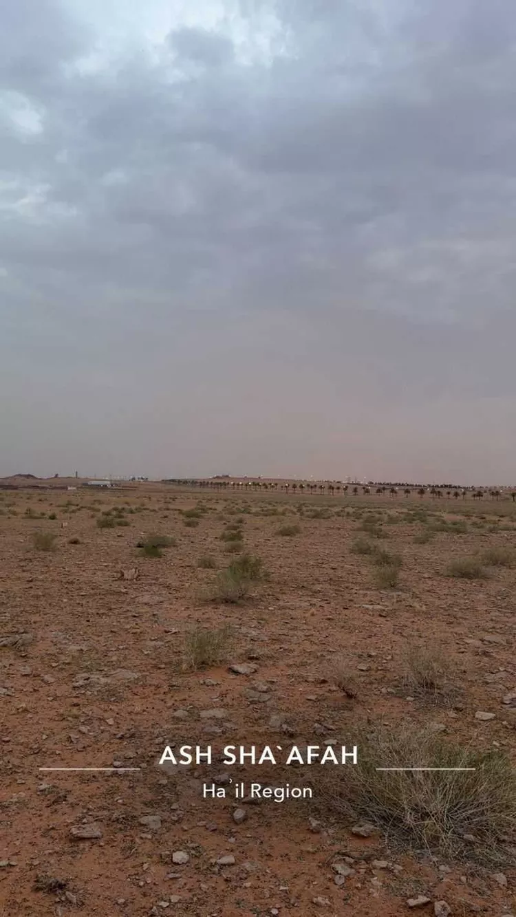 أرض للبيع في مدينة الشعفه, منطقة حائل 12