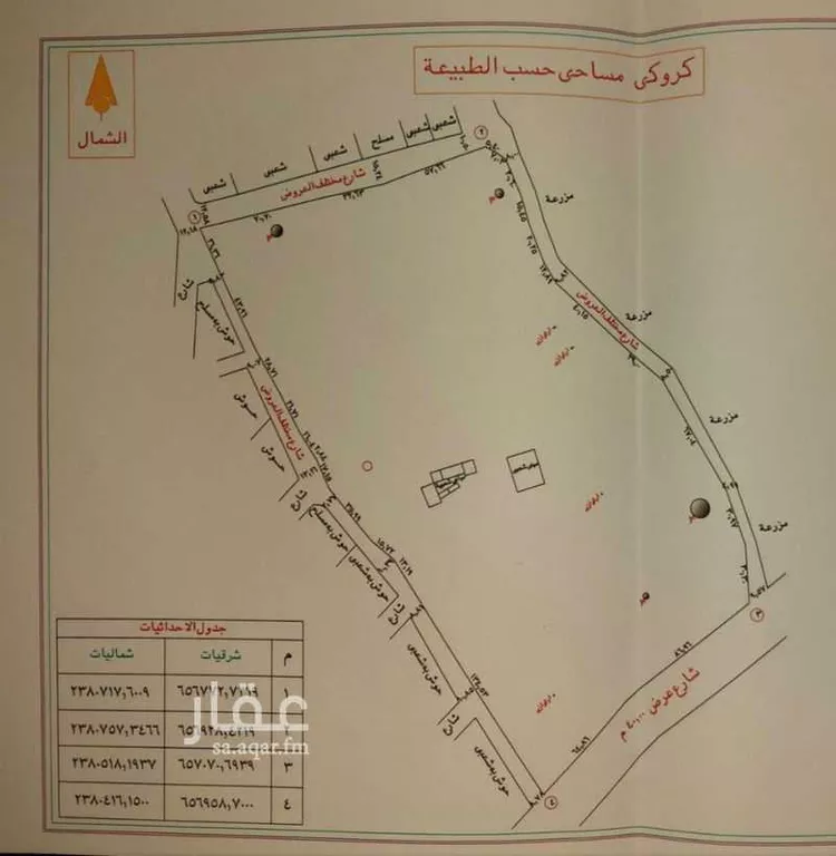 Farm for rent in Taif Jubrah صورة 2