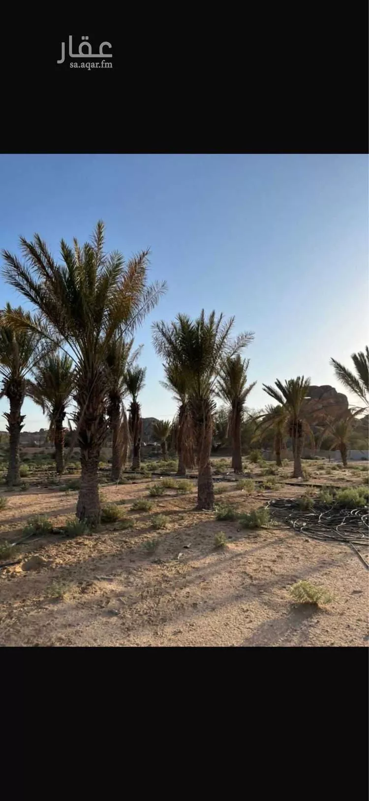 مزرعة للبيع في شارع القهيب 267, حي القهيب, مدينة الطائف, منطقة مكة المكرمة صورة 2