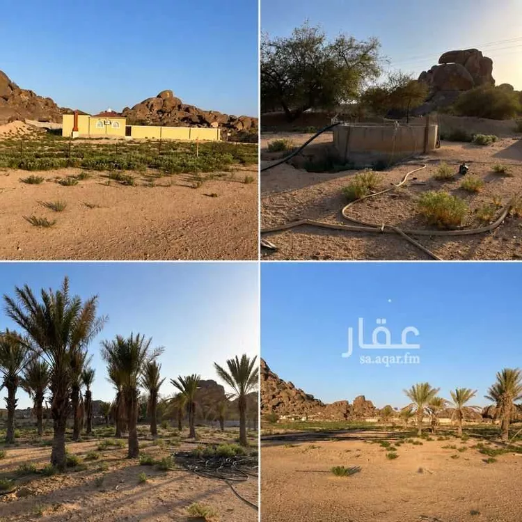 مزرعة للبيع في شارع القهيب 267, حي القهيب, مدينة الطائف, منطقة مكة المكرمة