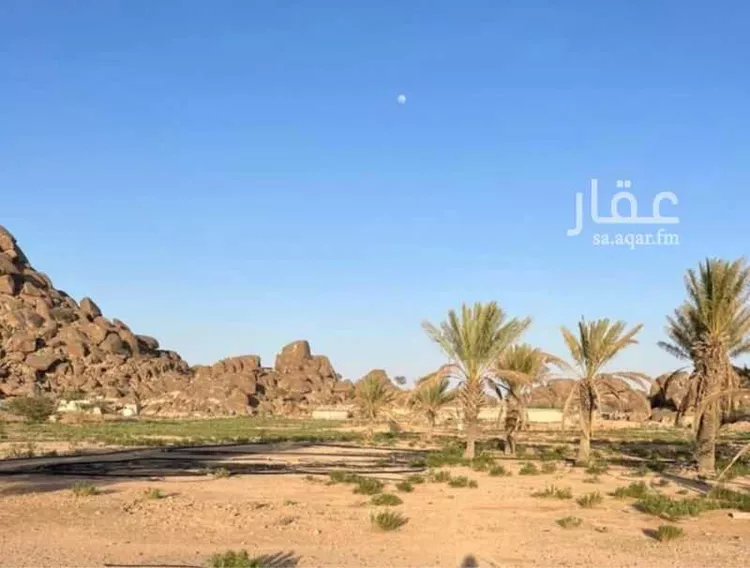 مزرعة للبيع في شارع القهيب 267, حي القهيب, مدينة الطائف, منطقة مكة المكرمة صورة 4