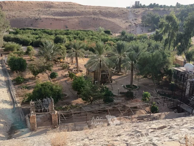 مزرعة للبيع في شارع الروضة 2, حي الروضة, مدينة الزلفي, منطقة الرياض