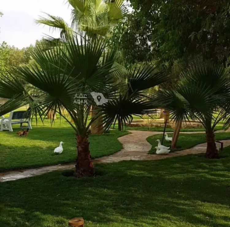 مزرعة للبيع في مدينة الجلة, منطقة الرياض 7