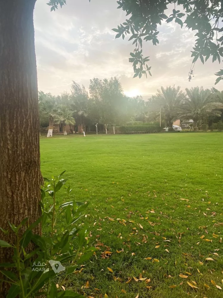 مزرعة للبيع في مدينة الجلة, منطقة الرياض 4