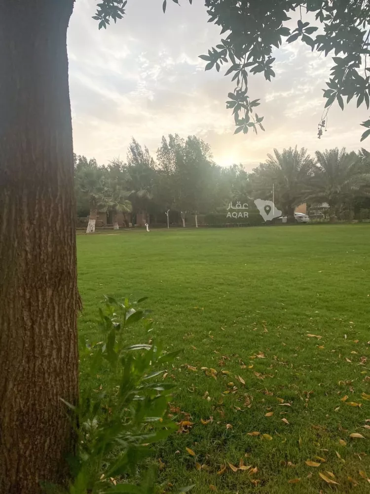 مزرعة للبيع في مدينة الجلة, منطقة الرياض 6