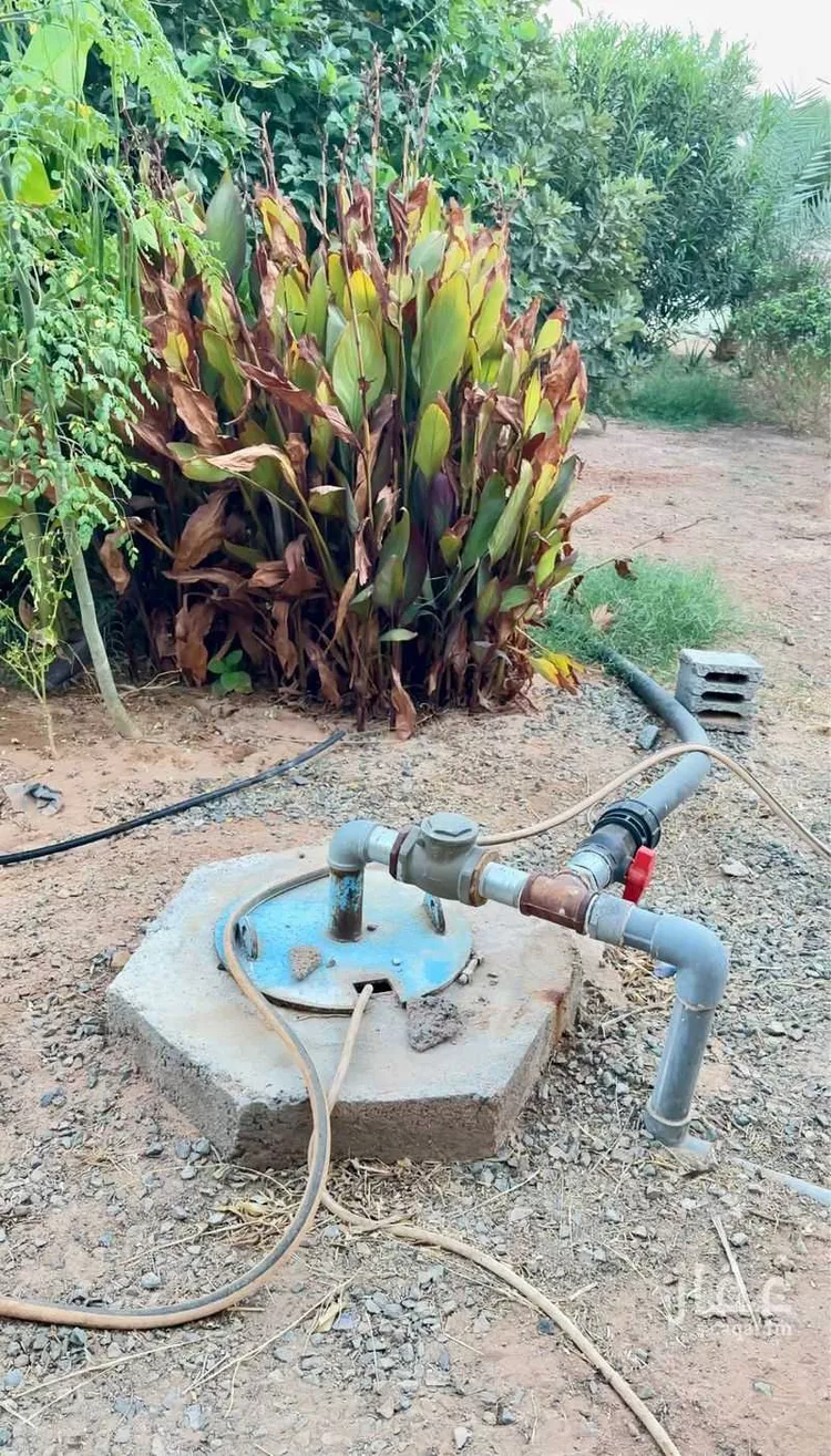 مزرعة للبيع في مدينة حائل, منطقة حائل صورة 5