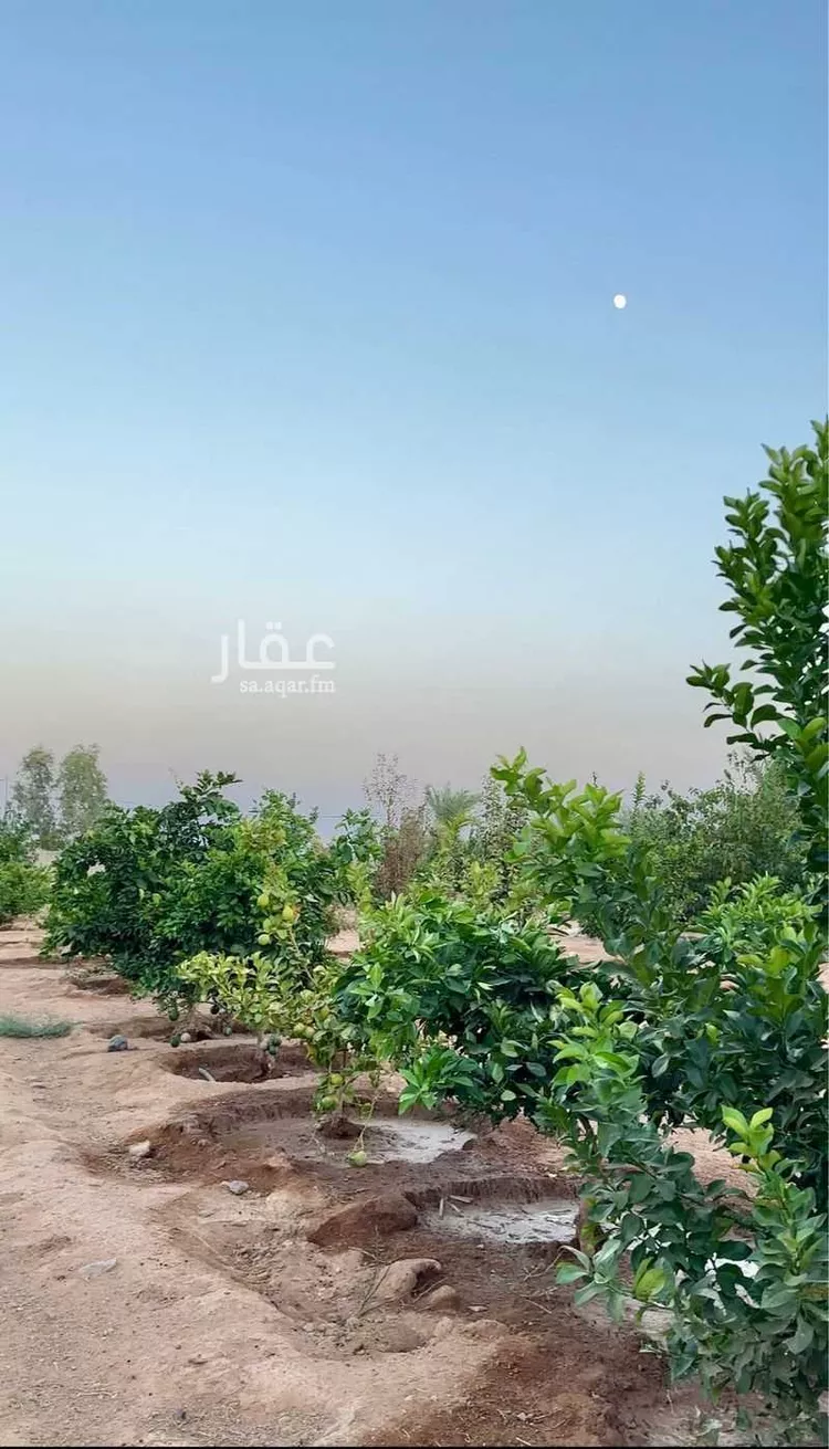 مزرعة للبيع في مدينة حائل, منطقة حائل صورة 2