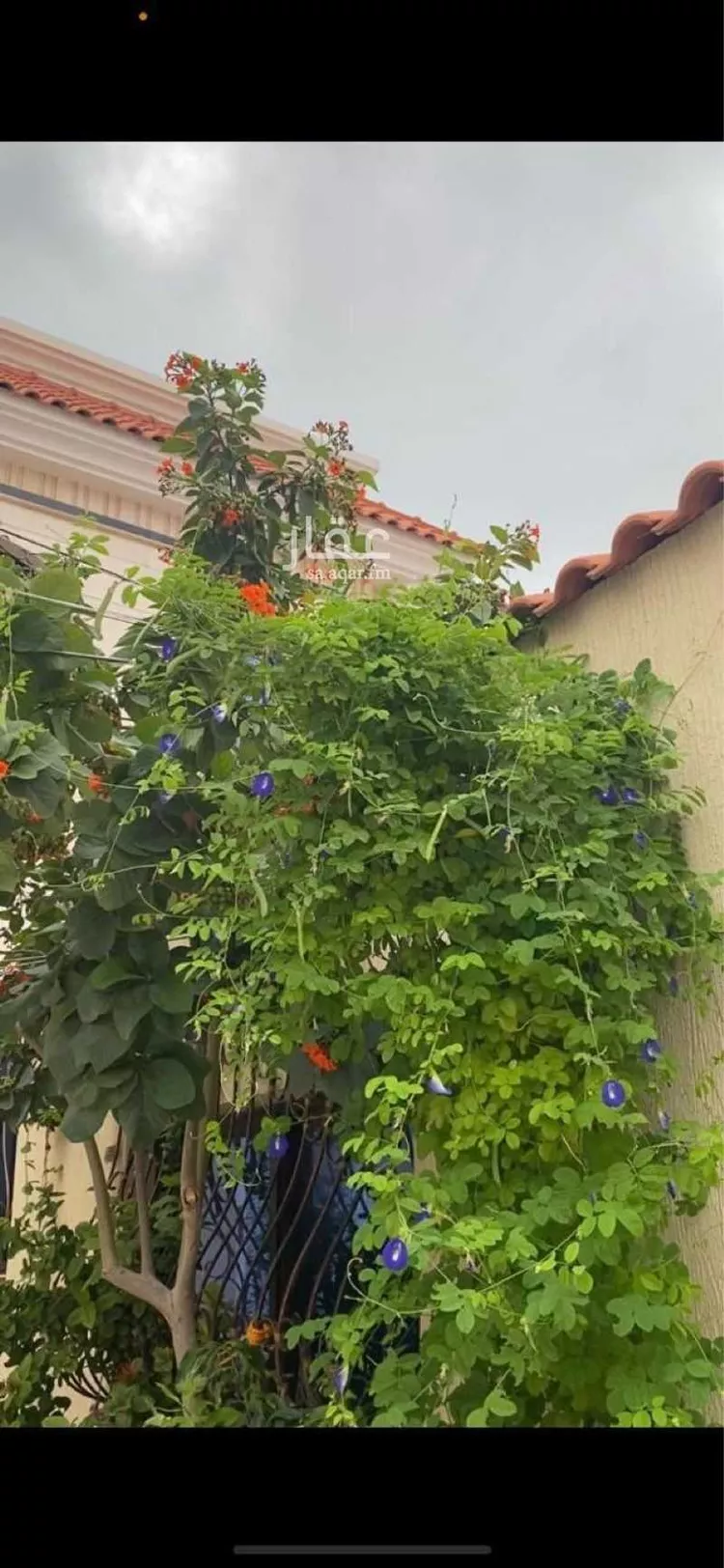 فيلا للإيجار في شارع البجادية, حي اللؤلؤ, مدينة الخبر, المنطقة الشرقية صورة 2