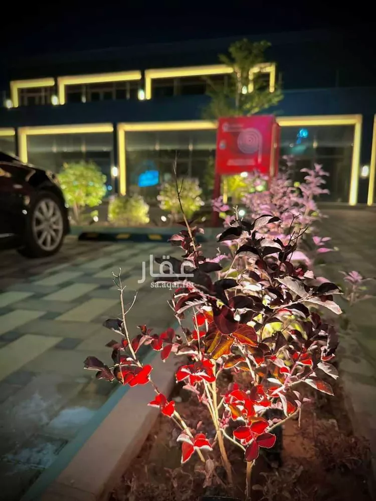 عمارة للإيجار في شارع حسن الاهدل, حي الريان, مدينة بريدة, منطقة القصيم صورة 3