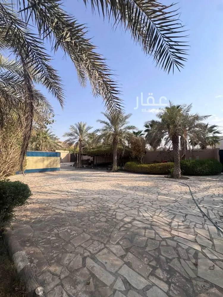 مزرعة للبيع في شارع قريه ديراب 6, حي مزارع واشله, مدينة الرياض, منطقة الرياض صورة 3
