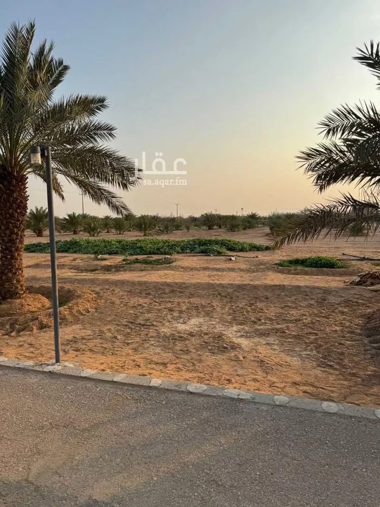 أرض للإيجار في شارع دقله 82, حي دقله, مدينة دقله, منطقة الرياض صورة 3