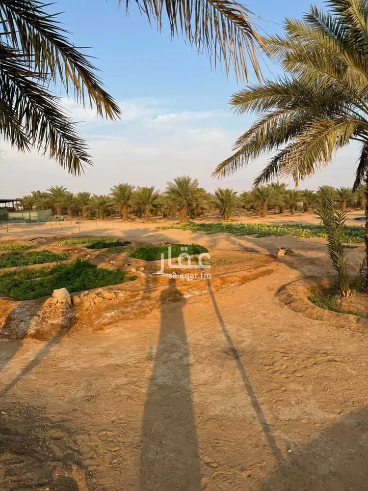 أرض للإيجار في شارع دقله 82, حي دقله, مدينة دقله, منطقة الرياض صورة 2