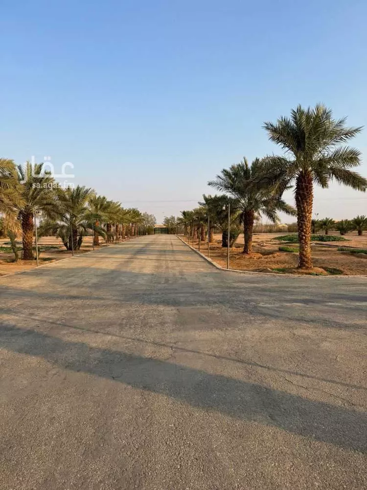 أرض للإيجار في شارع دقله 82, حي دقله, مدينة دقله, منطقة الرياض صورة 5