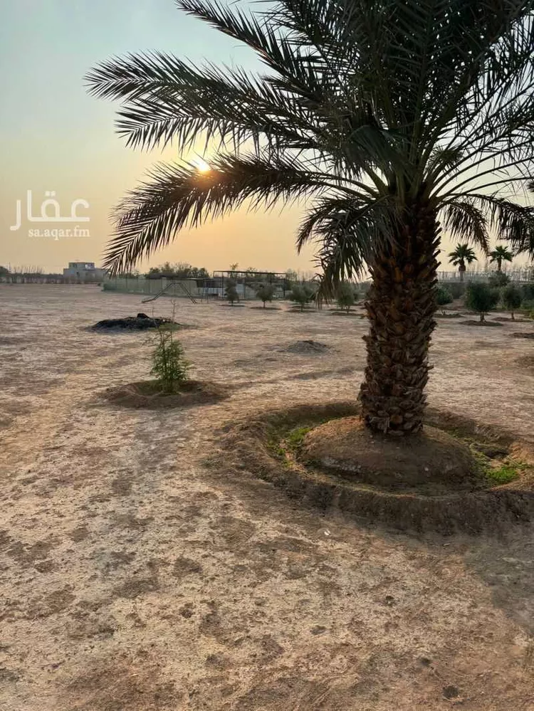 أرض للإيجار في شارع دقله 82, حي دقله, مدينة دقله, منطقة الرياض صورة 4