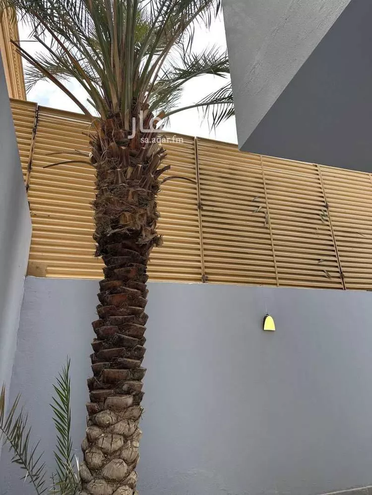 دور للإيجار في شارع الجبل الأبيض, حي الصحافة, مدينة الرياض, منطقة الرياض صورة 4