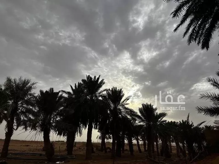 مزرعة للبيع في شارع ابا الصلابيخ 1 ، العمار ، المجمعة صورة 4