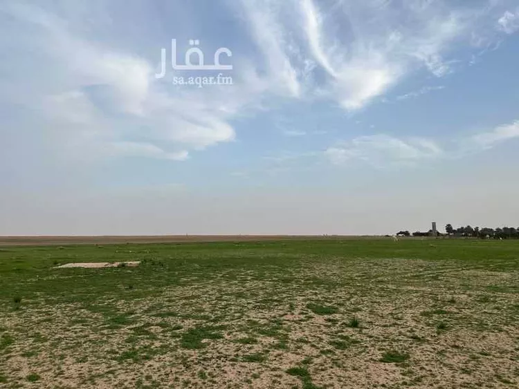 مزرعة للبيع في شارع ابا الصلابيخ 1 ، العمار ، المجمعة صورة 4