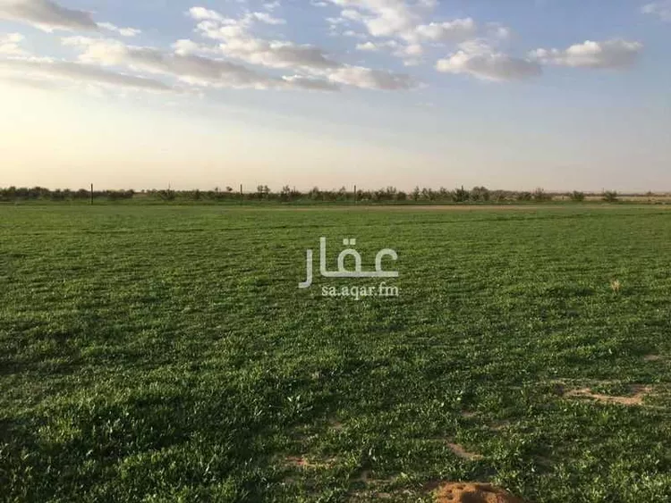 مزرعة للبيع في شارع ابا الصلابيخ 1 ، العمار ، المجمعة صورة 3