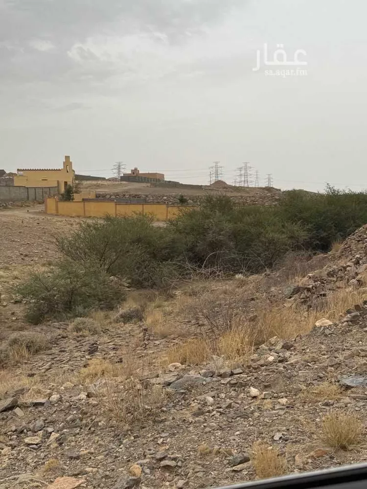 أرض للإيجار في شارع ابن البشير ، الفيض ، خميس مشيط صورة 2
