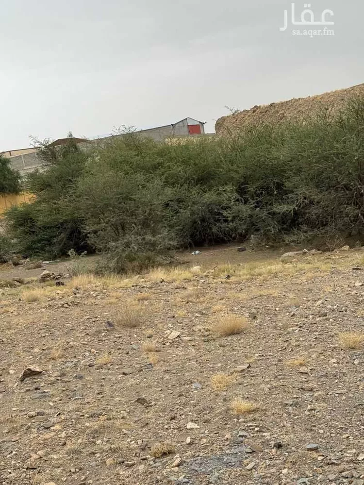 أرض للإيجار في شارع ابن البشير ، الفيض ، خميس مشيط صورة 5