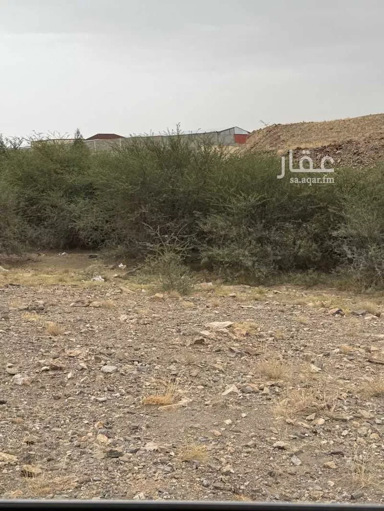 أرض للإيجار في شارع ابن البشير ، الفيض ، خميس مشيط صورة 3