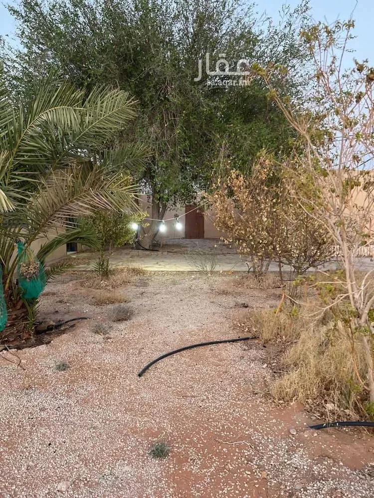 استراحة للإيجار في شارع أبو أيوب الانصارى, حي الجامعة, مدينة ثادق, منطقة الرياض صورة 5