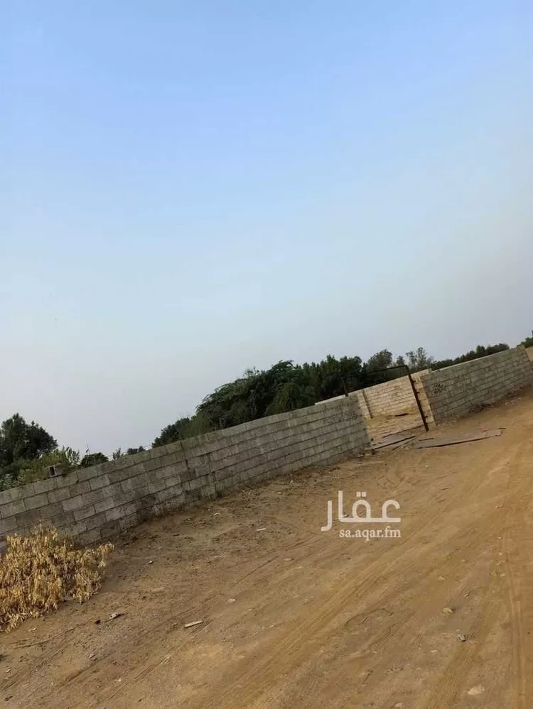 Land for Sale in Sabya Al Rownah صورة 2