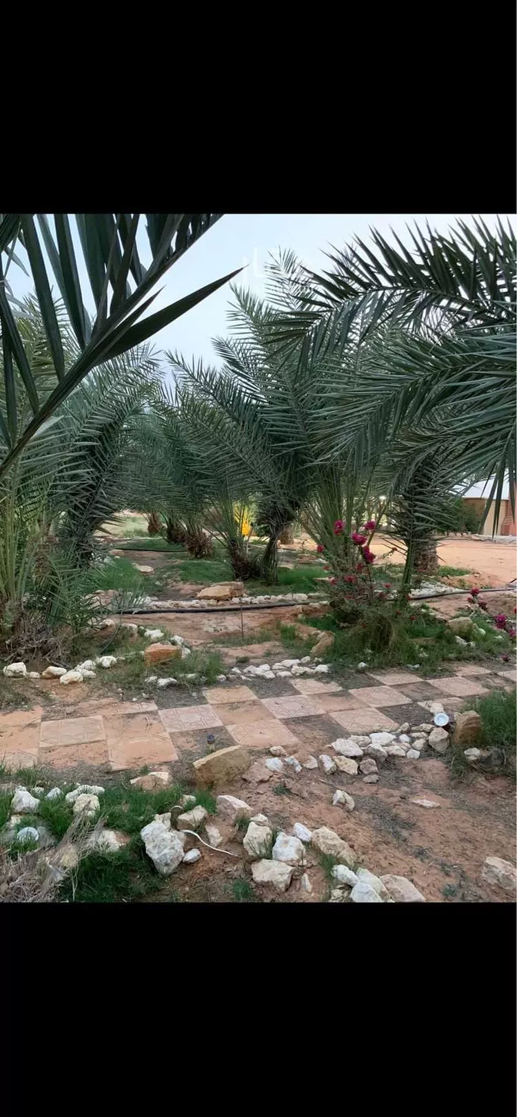 مزرعة للبيع في حي العفجه, مدينة الخرج, منطقة الرياض صورة 2