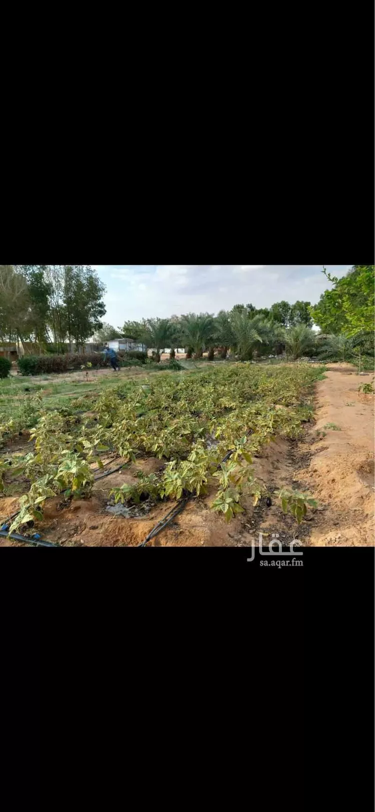 استراحة للبيع في حي نعجان, مدينة الخرج, منطقة الرياض صورة 3