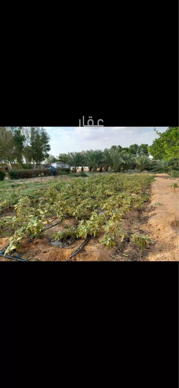 مزرعة للبيع في حي العفجه, مدينة الخرج, منطقة الرياض