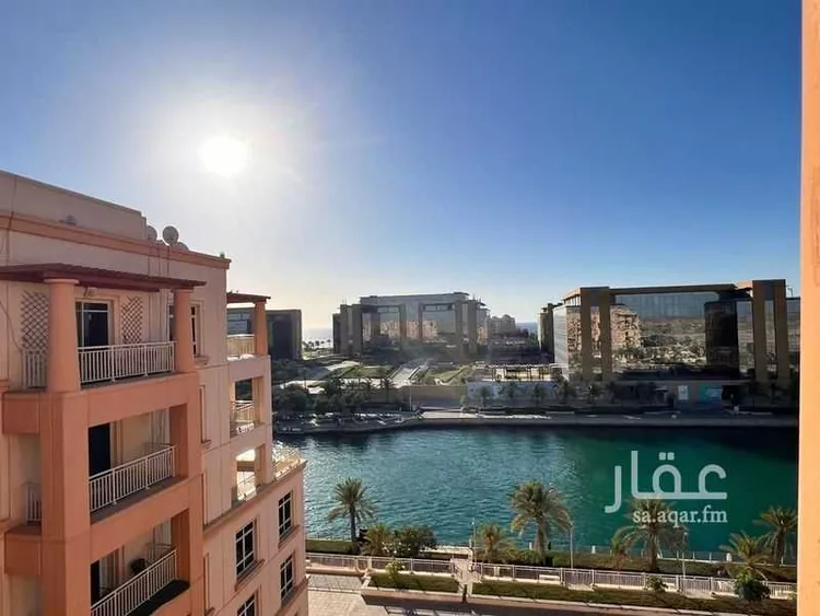 شقة للبيع في شارع ناردين, حي الملك عبدالله الاقتصادية, مدينة مدينة الملك عبدالله الاقتصادية, منطقة مكة المكرمة 13