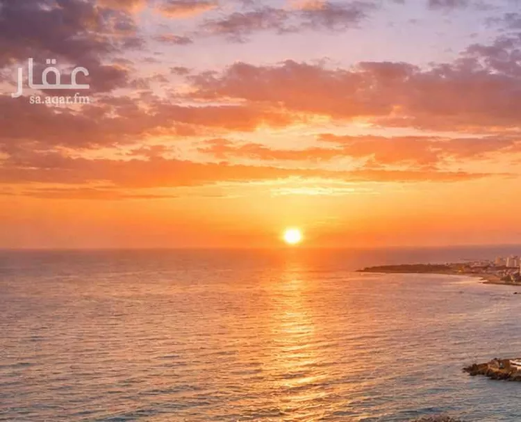 أرض للبيع في شارع شارع الود, حي الملك عبدالله الاقتصادية, مدينة مدينة الملك عبدالله الاقتصادية, منطقة مكة المكرمة صورة 4