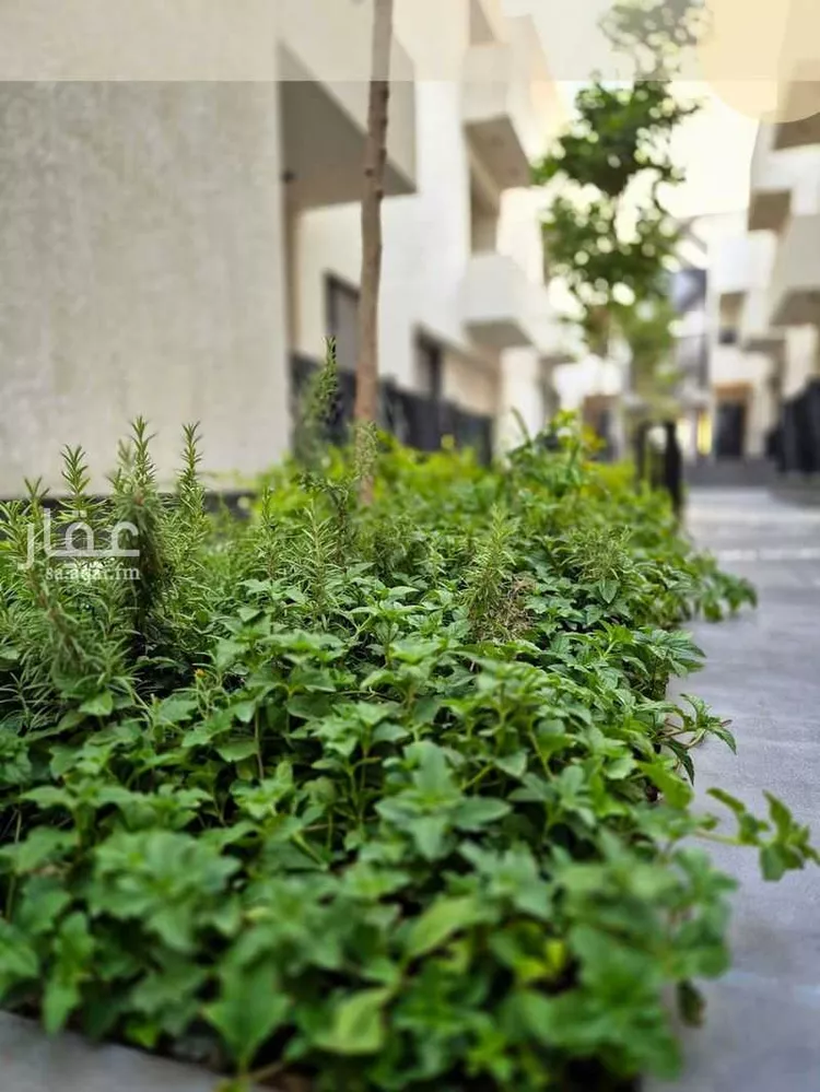 Apartment for Rent in Riyadh Al Malqa 10