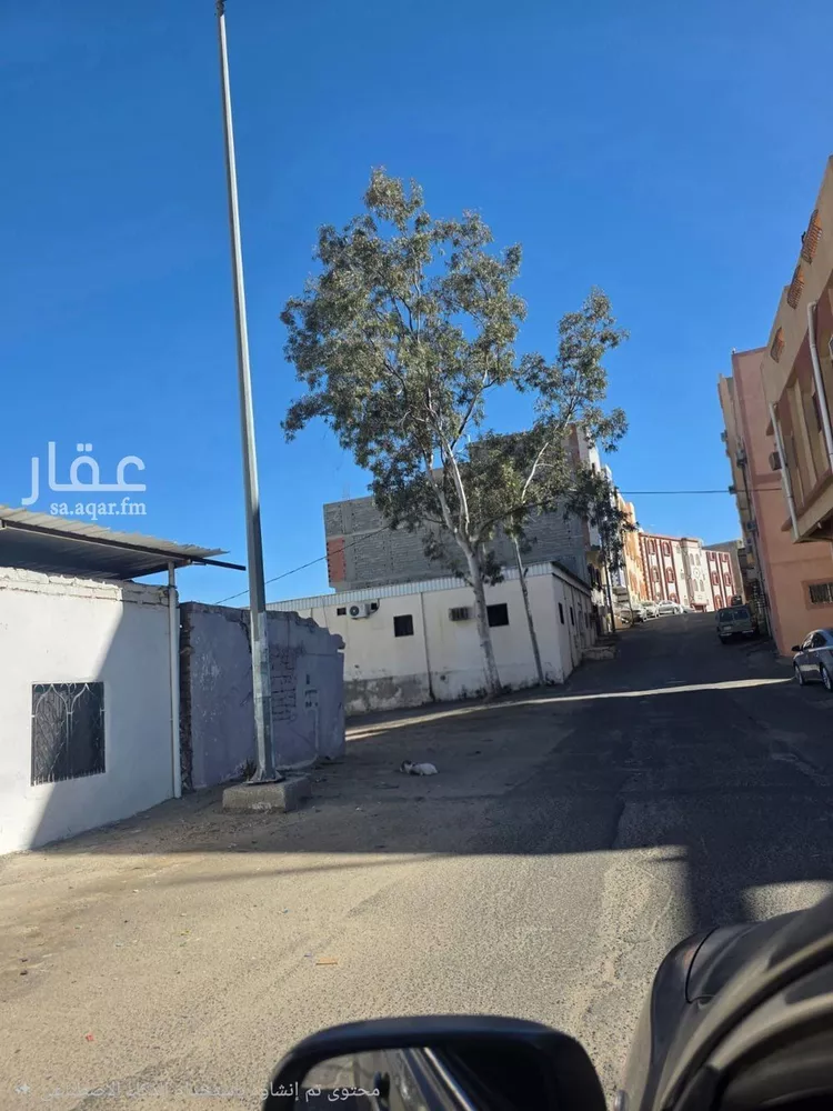 أرض للبيع في شارع نخب, حي نخب, مدينة الطائف, منطقة مكة المكرمة صورة 5