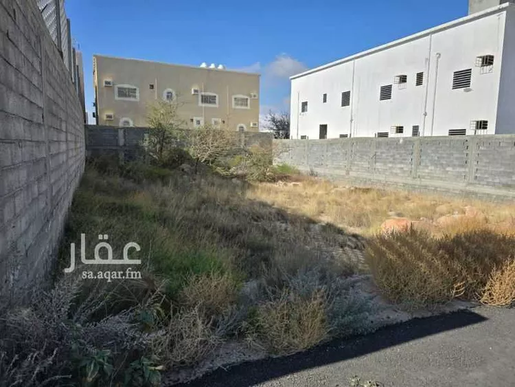 Land for Sale in Ahad Rufaidah Al Aziziyah صورة 4
