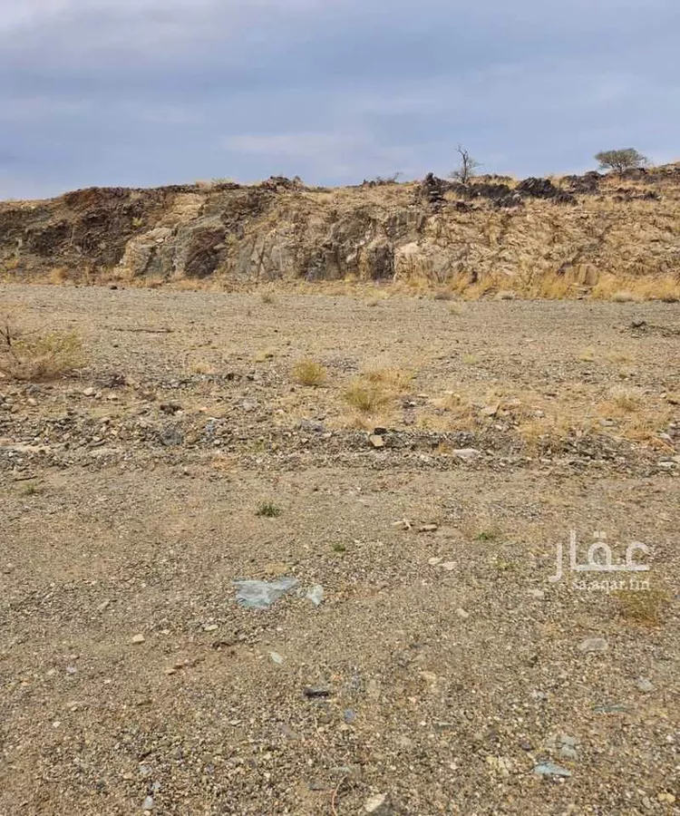 أرض للبيع في حي الديرة, مدينة الرهوه والسحيمه, منطقة الباحة صورة 5