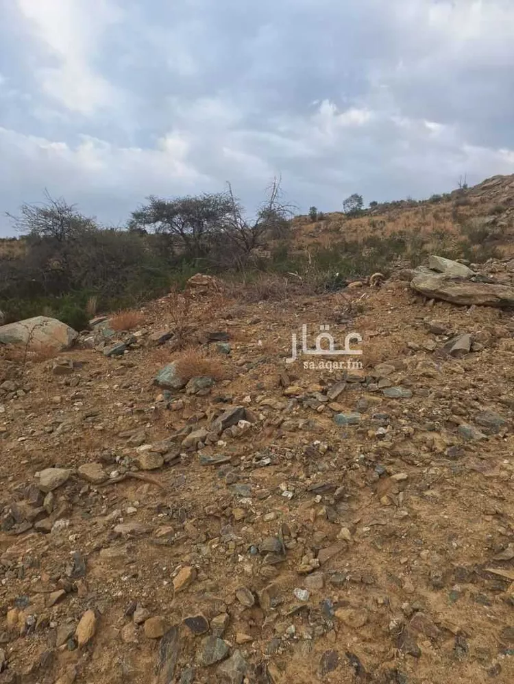 أرض للبيع في حي الرحاب, مدينة الباحة, منطقة الباحة صورة 2